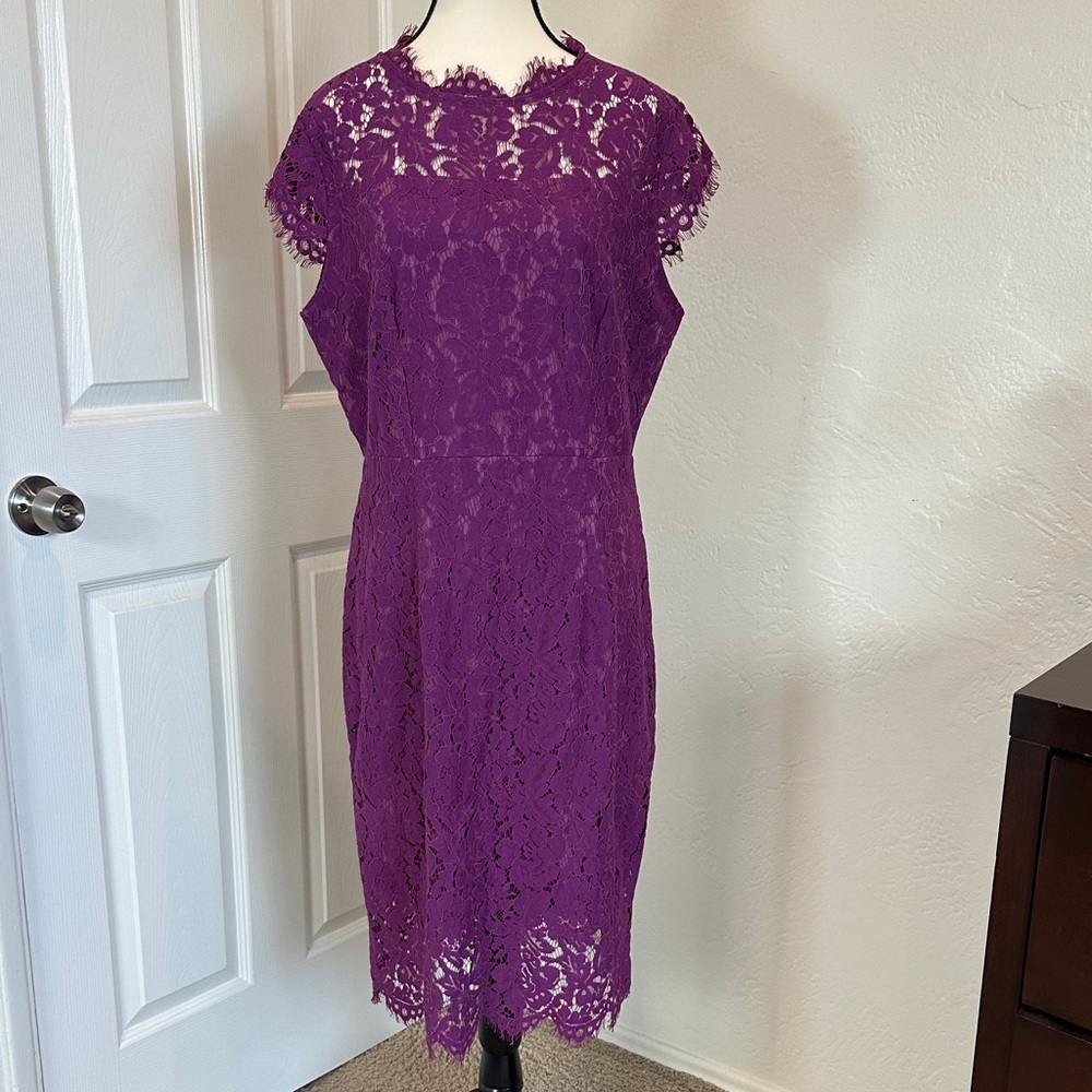 Elegant Lace Midi Dress in Rich Purple